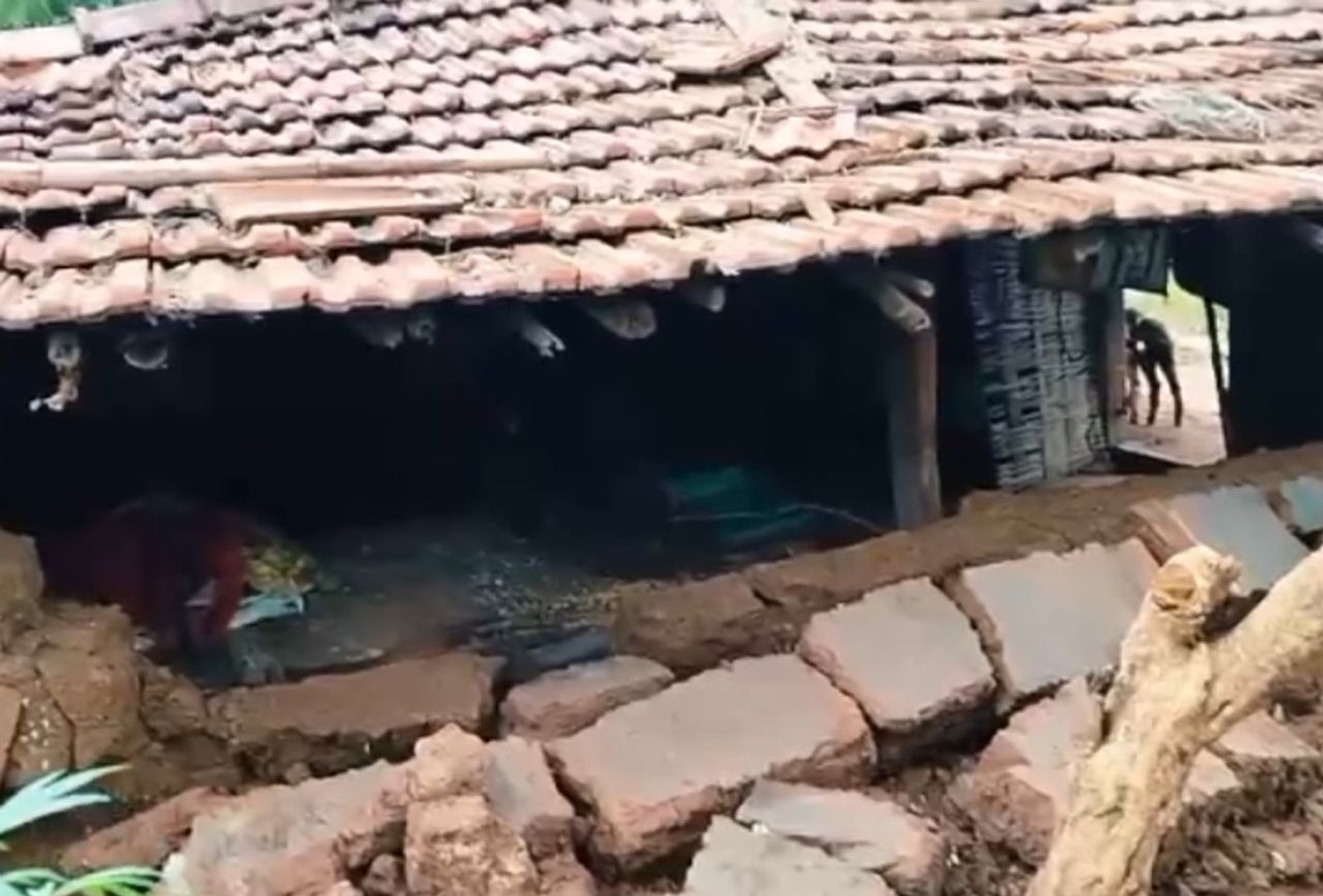 Partial impact of Cyclone ‘Montha’ causes significant damage in Koraput