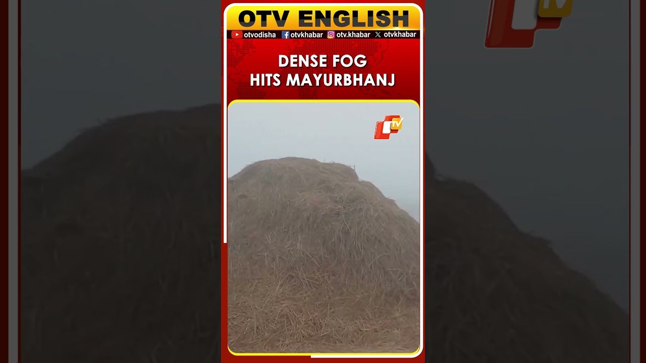 Mayurbhanj, Odisha Wakes To Dense Fog, Cold Wave