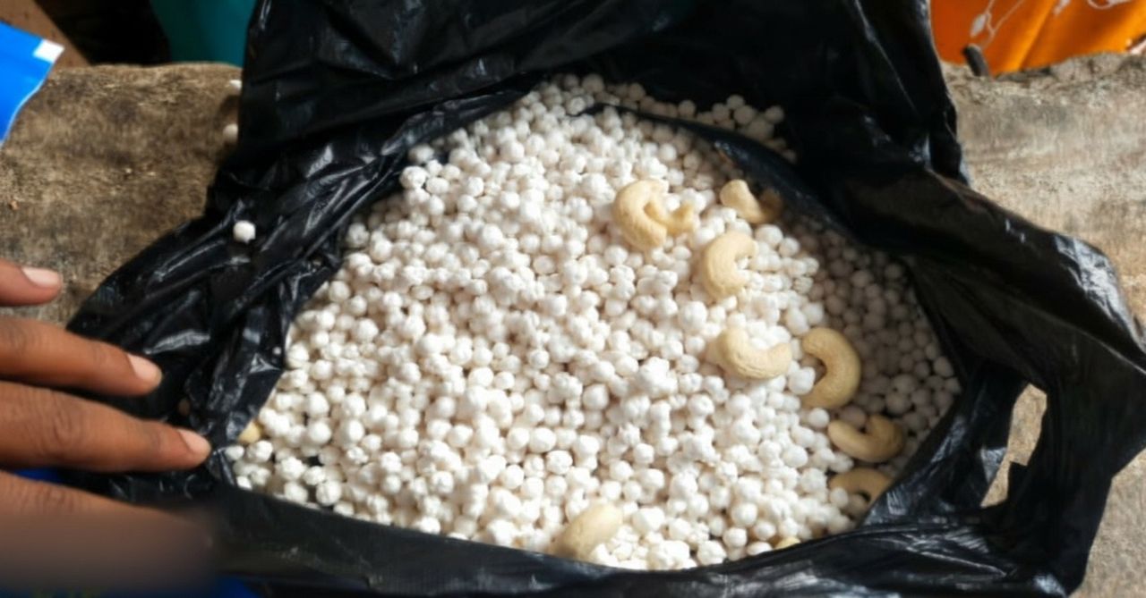 Konark Sun Temple tourists cheated, peanuts sold as cashews Konark Sun Temple tourists cheated, peanuts sold as cashews